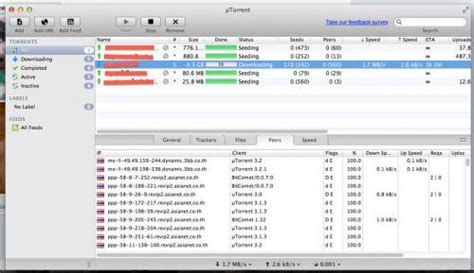 บิตทอร์เรนต์ (BitTorrent) .